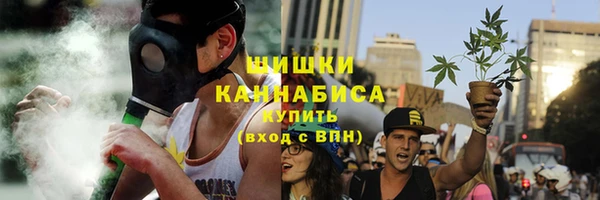 мдпв Волосово