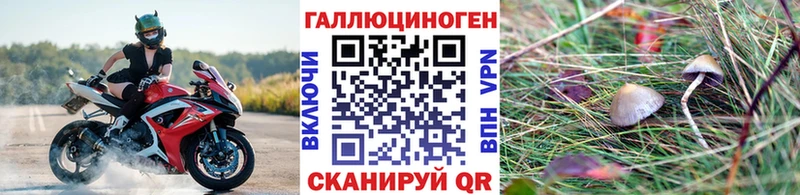 Галлюциногенные грибы MAGIC MUSHROOMS  Екатеринбург 
